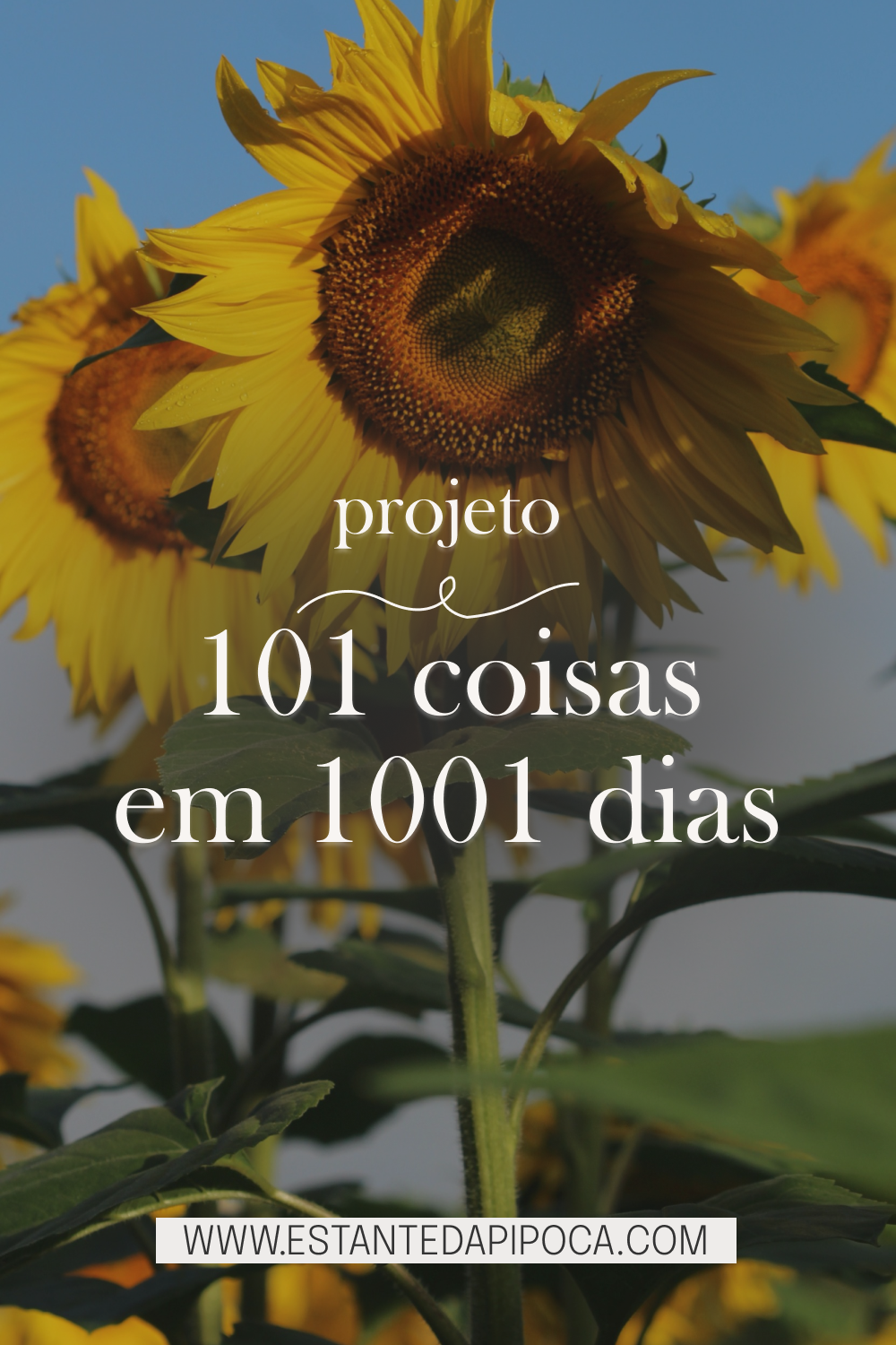 Imagem para pinterest. No fundo, uma foto de girassol. 
Escrita: projeto 101 coisas em 1001 dias
www.estantedapipoca.com