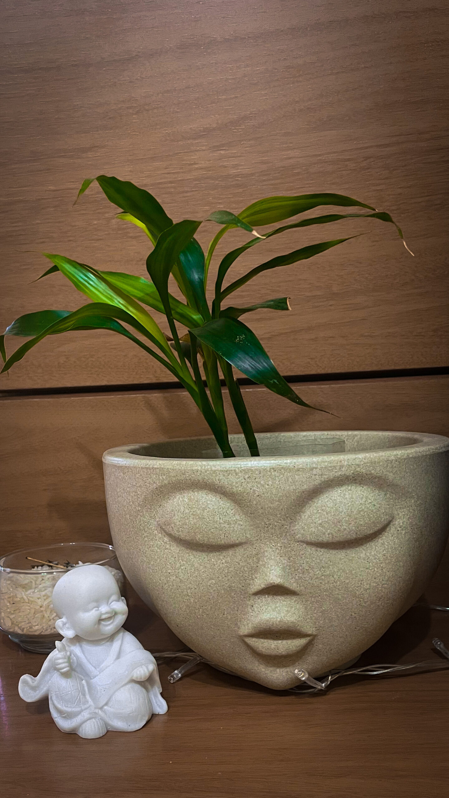 Estou dando o meu melhor como mãe de planta