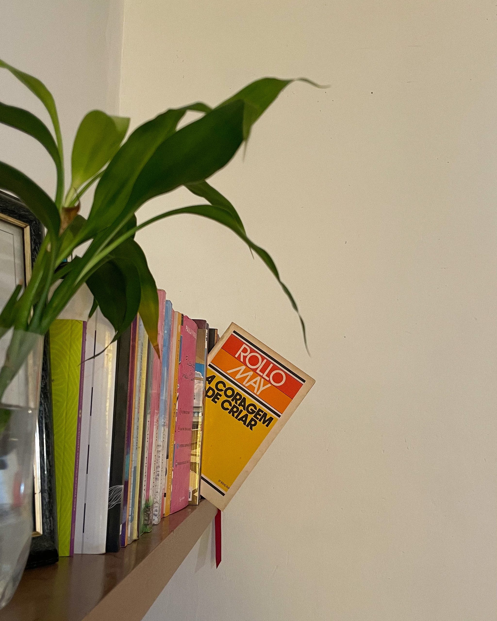 estante de llivros com o livro "a coragem de criar" en destaque, saindo da prateleira. folhas de uma planta à frente.